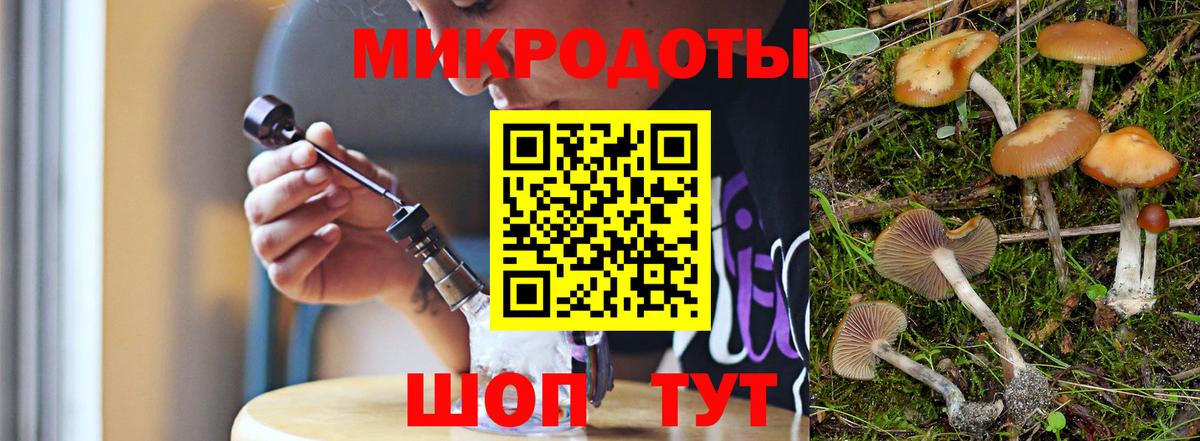 Псилоцибиновые грибы прущие грибы Десногорск