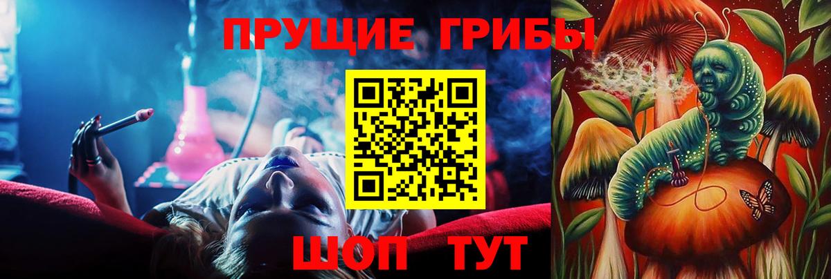 Десногорск  где можно купить   Вход с VPN  Псилоцибиновые грибы GOLDEN TEACHER 